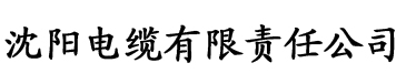 全免费A级毛片免费看无码电缆厂logo